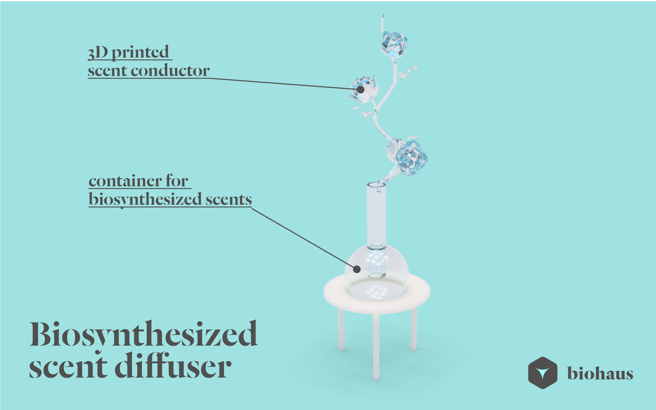 biohaus scent diffuser